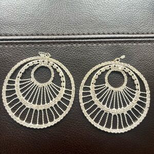 Elegant Silver Hoop Earrings